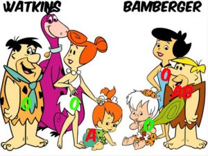 Confusió nadons cas Watkins vs Bamberger