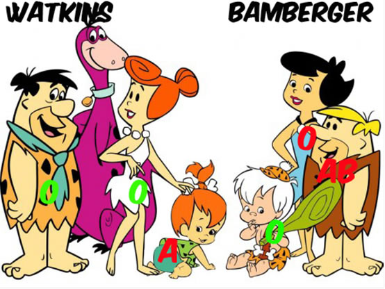 Confusió nadons cas Watkins vs Bamberger